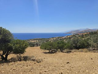 Οικόπεδο 6.000 τ.μ. για πώληση, Ν. Ρεθύμνου, Λάμπη-thumb-5