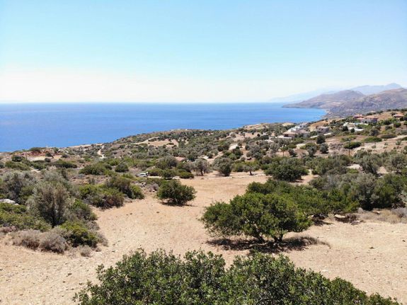 Οικόπεδο 6.000 τ.μ. για πώληση, Ν. Ρεθύμνου, Λάμπη