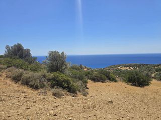 Οικόπεδο 6.000 τ.μ. για πώληση, Ν. Ρεθύμνου, Λάμπη-thumb-4