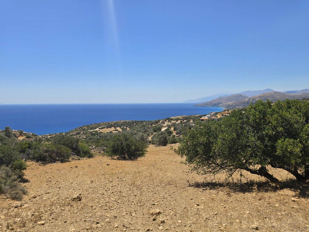 Οικόπεδο 6.000 τ.μ. πρός πώληση, Ν. Ρεθύμνου, Λάμπη
