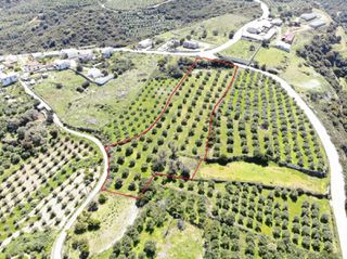 Οικόπεδο 7.160 τ.μ. για πώληση, Ν. Ρεθύμνου, Αρκάδι-thumb-6