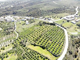 Οικόπεδο 7.160 τ.μ. για πώληση, Ν. Ρεθύμνου, Αρκάδι-thumb-5