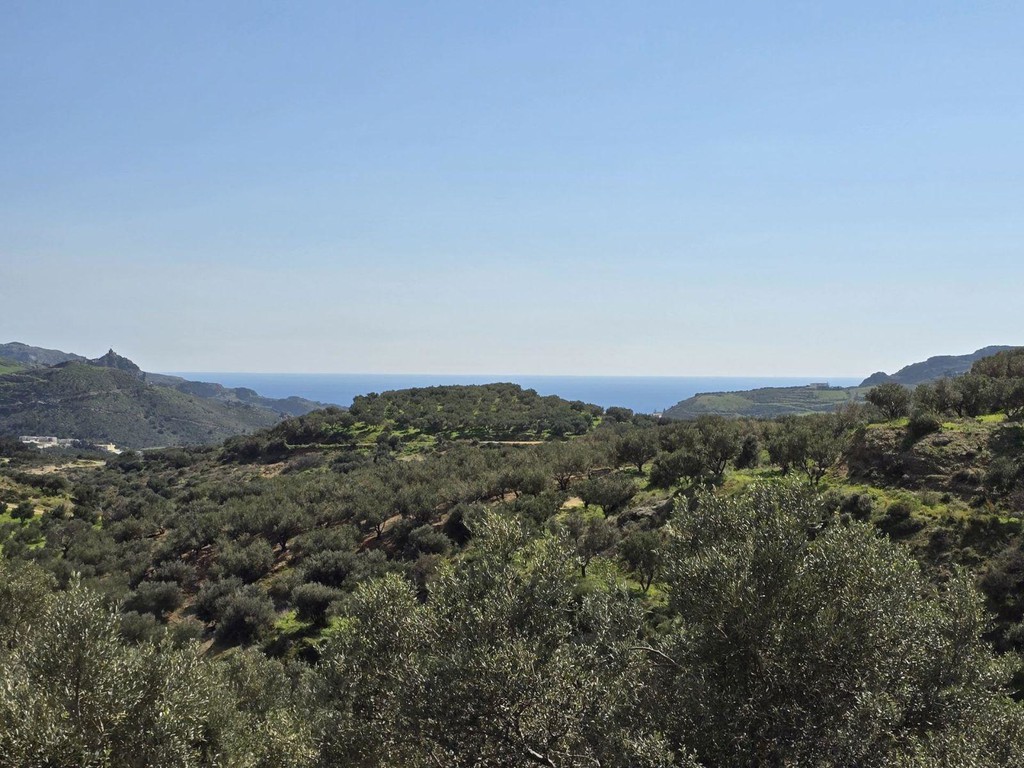 Αγροτεμάχια 4.600 τ.μ. πρός πώληση, Ν. Ρεθύμνου, Φοινίκας