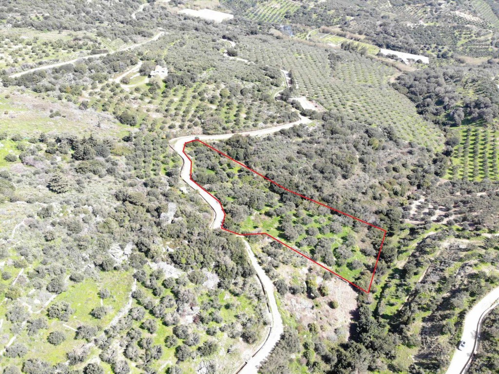 Αγροτεμάχια 4.600 τ.μ. πρός πώληση, Ν. Ρεθύμνου, Φοινίκας