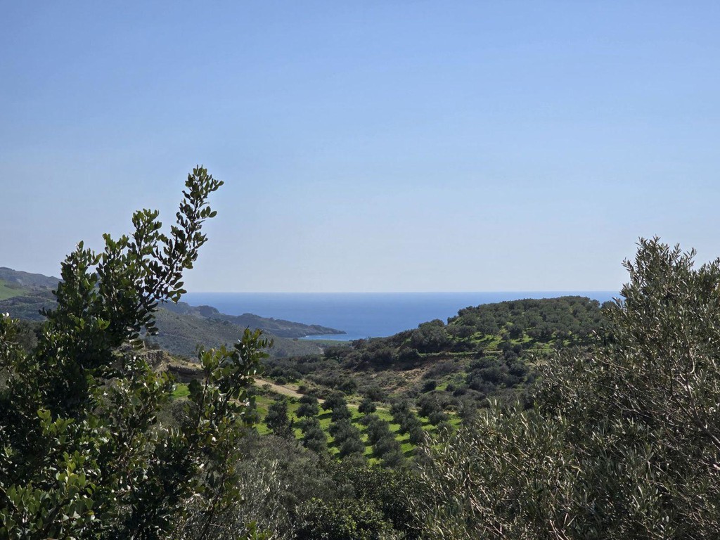 Αγροτεμάχια 4.600 τ.μ. πρός πώληση, Ν. Ρεθύμνου, Φοινίκας