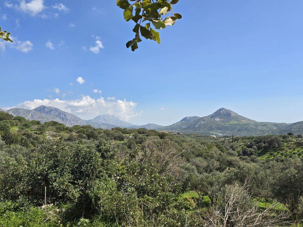 Αγροτεμάχια 4.600 τ.μ. πρός πώληση, Ν. Ρεθύμνου, Φοινίκας