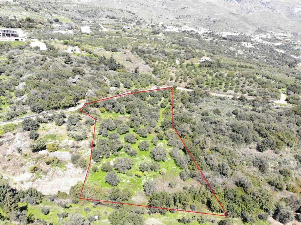 Αγροτεμάχια 4.600 τ.μ. πρός πώληση, Ν. Ρεθύμνου, Φοινίκας