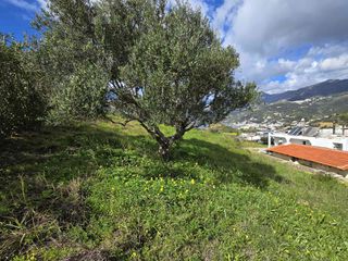 Οικόπεδο 531 τ.μ. για πώληση, Ν. Ρεθύμνου, Φοινίκας-thumb-7