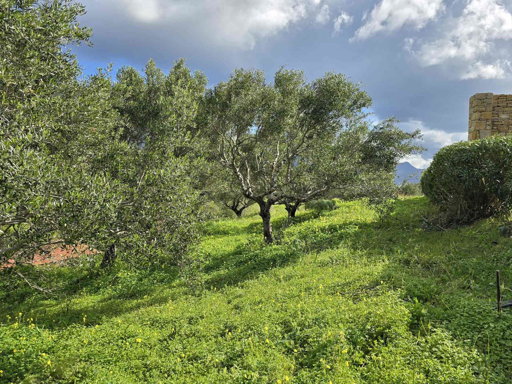 Οικόπεδο 531 τ.μ. πρός πώληση, Ν. Ρεθύμνου, Φοινίκας