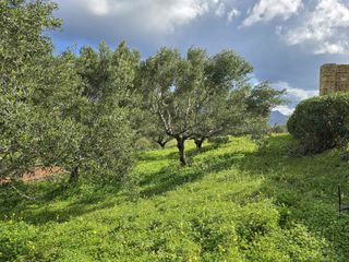Οικόπεδο 531 τ.μ. για πώληση, Ν. Ρεθύμνου, Φοινίκας-thumb-4