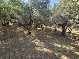 Οικόπεδο 1.930 τ.μ. για πώληση, Ν. Ρεθύμνου, Φοινίκας-thumb-7
