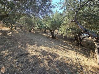 Οικόπεδο 1.930 τ.μ. για πώληση, Ν. Ρεθύμνου, Φοινίκας-thumb-6
