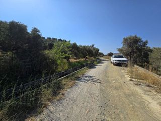 Οικόπεδο 1.930 τ.μ. για πώληση, Ν. Ρεθύμνου, Φοινίκας-thumb-10