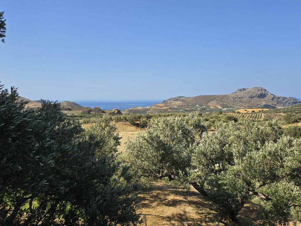 Οικόπεδο 1.930 τ.μ. πρός πώληση, Ν. Ρεθύμνου, Φοινίκας