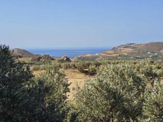 Οικόπεδο 1.930 τ.μ. για πώληση, Ν. Ρεθύμνου, Φοινίκας-thumb-1
