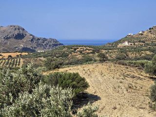 Οικόπεδο 1.930 τ.μ. για πώληση, Ν. Ρεθύμνου, Φοινίκας-thumb-4
