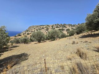 Αγροτεμάχια 4.005 τ.μ. προς πώληση, Άγιος Παύλος Λάμπης-thumb-9