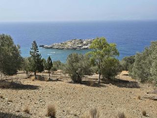 Αγροτεμάχια 4.005 τ.μ. προς πώληση, Άγιος Παύλος Λάμπης-thumb-12
