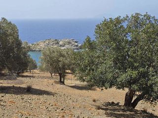 Αγροτεμάχια 4.005 τ.μ. προς πώληση, Άγιος Παύλος Λάμπης-thumb-11