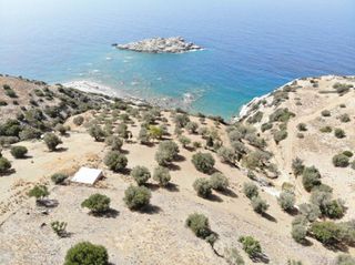 Αγροτεμάχια 4.005 τ.μ. προς πώληση, Άγιος Παύλος Λάμπης-thumb-7
