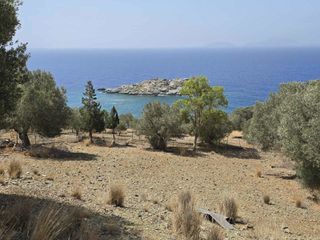 Αγροτεμάχια 4.005 τ.μ. προς πώληση, Άγιος Παύλος Λάμπης-thumb-13