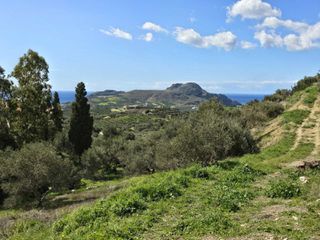 Οικόπεδο 1.011 τ.μ. για πώληση, Ν. Ρεθύμνου, Φοινίκας-thumb-4
