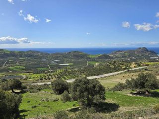 Αγροτεμάχια 17.000 τ.μ. για πώληση, Ν. Ρεθύμνου, Φοινίκας-thumb-3