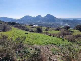 Αγροτεμάχια 17.000 τ.μ. για πώληση, Ν. Ρεθύμνου, Φοινίκας-thumb-8