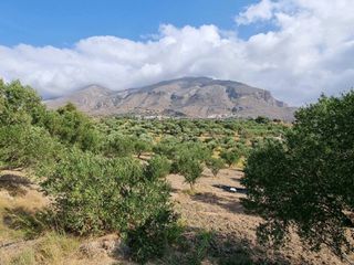 Αγροτεμάχια 4.200 τ.μ. για πώληση, Ν. Ρεθύμνου, Φοινίκας-thumb-7