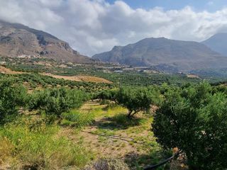 Αγροτεμάχια 4.200 τ.μ. για πώληση, Ν. Ρεθύμνου, Φοινίκας-thumb-1
