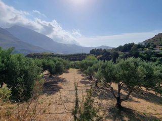 Αγροτεμάχια 4.200 τ.μ. για πώληση, Ν. Ρεθύμνου, Φοινίκας-thumb-2