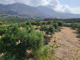 Αγροτεμάχια 4.200 τ.μ. για πώληση, Ν. Ρεθύμνου, Φοινίκας-thumb-4