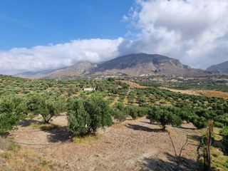 Αγροτεμάχια 4.200 τ.μ. για πώληση, Ν. Ρεθύμνου, Φοινίκας-thumb-6