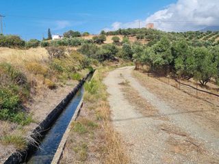 Αγροτεμάχια 4.200 τ.μ. για πώληση, Ν. Ρεθύμνου, Φοινίκας-thumb-3