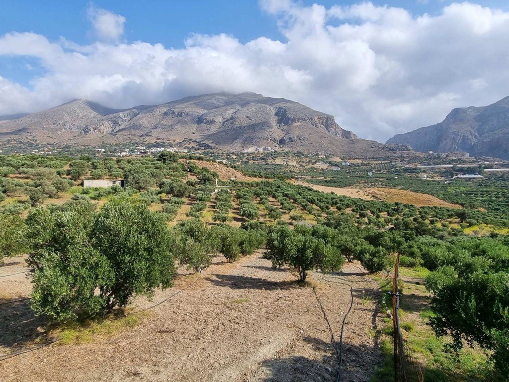 Αγροτεμάχια 4.200 τ.μ. για πώληση, Ν. Ρεθύμνου, Φοινίκας