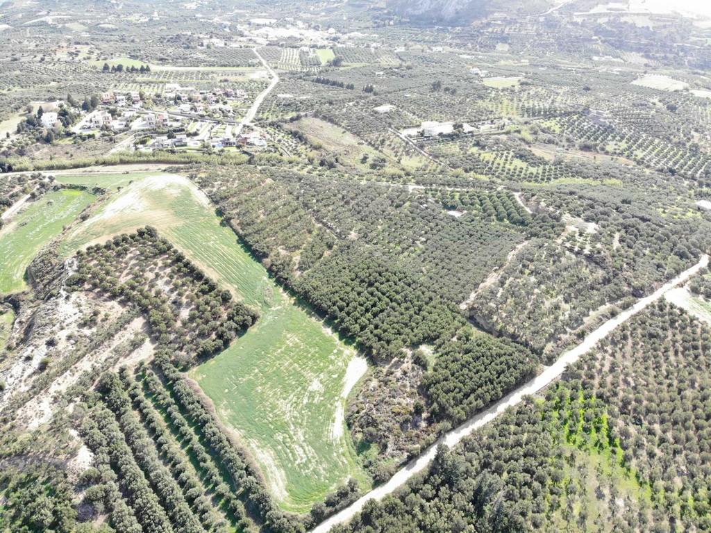 Αγροτεμάχια 16.313 τ.μ. πρός πώληση, Ν. Ρεθύμνου, Φοινίκας