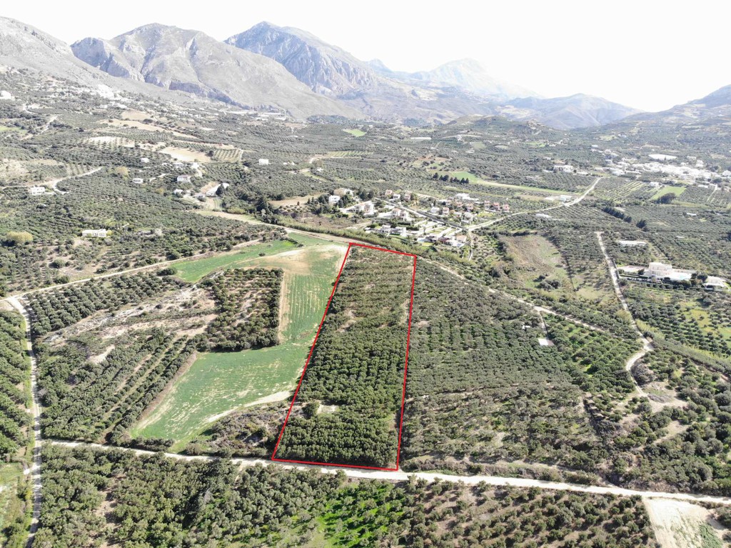 Αγροτεμάχια 16.313 τ.μ. πρός πώληση, Ν. Ρεθύμνου, Φοινίκας