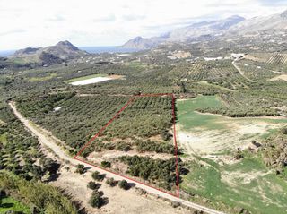 Αγροτεμάχια 16.313 τ.μ. για πώληση