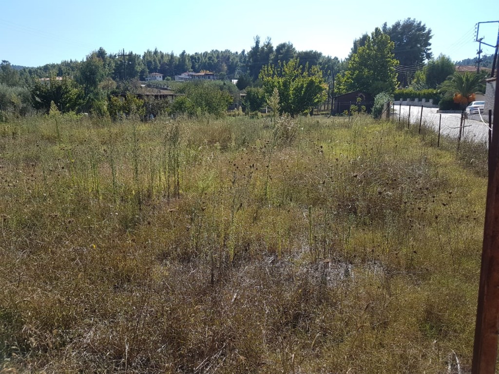 Αγροτεμάχια 16.000 τ.μ. πρός πώληση, Χαλκιδική, Παλλήνη