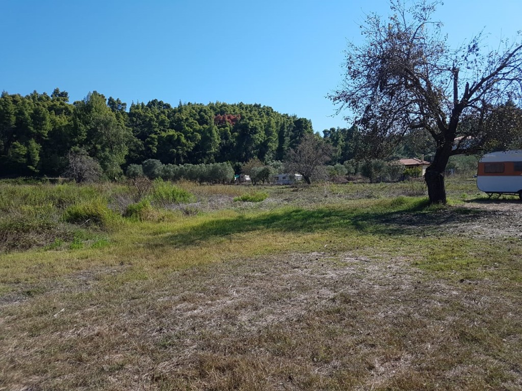 Αγροτεμάχια 16.000 τ.μ. πρός πώληση, Χαλκιδική, Παλλήνη