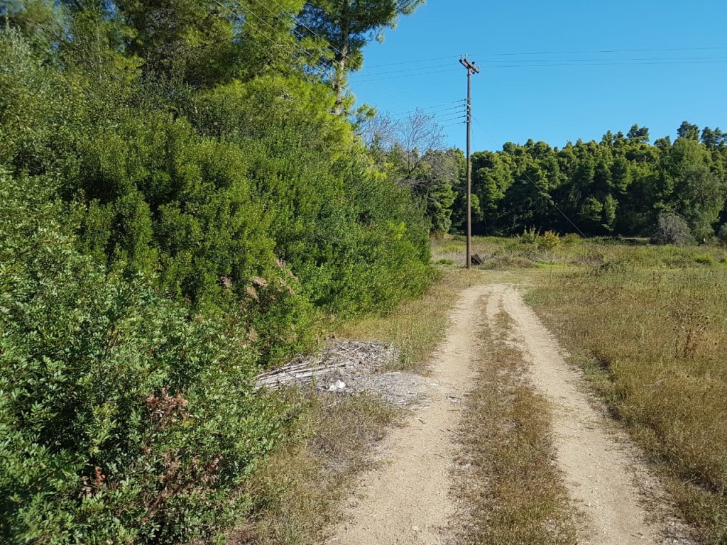 Αγροτεμάχια 16.000 τ.μ. πρός πώληση, Χαλκιδική, Παλλήνη