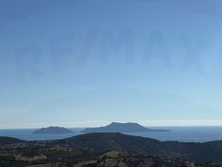 Αγροτεμάχια 3.120,48 τ.μ. για πώληση