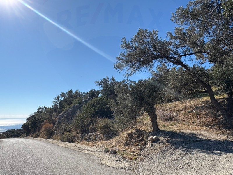 Αγροτεμάχια 3.120,48 τ.μ. πρός πώληση, Ν. Ρεθύμνου, Λάμπη