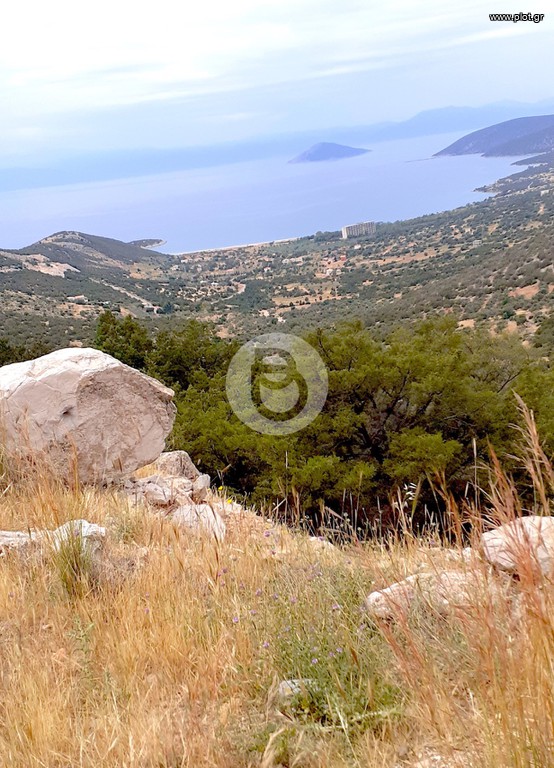 Οικόπεδο 1.623 τ.μ. πρός πώληση, Αργολίδα, Κρανίδι