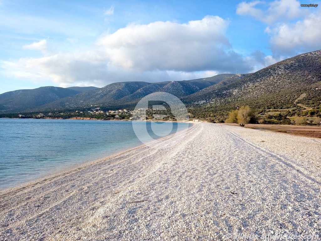 Οικόπεδο 1.623 τ.μ. πρός πώληση, Αργολίδα, Κρανίδι