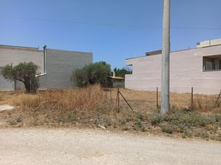 Οικόπεδο 359 τ.μ. πρός πώληση, Αττική - Υπόλοιπο, Μέγαρα-thumb-16