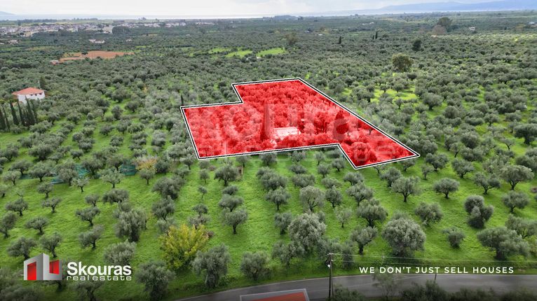 Μονοκατοικία 81 τ.μ. για πώληση, Μεσσηνία, Μεσσήνη