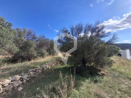 Land plot 1.135 sqm for sale