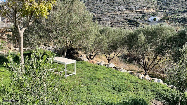 Οικόπεδο 224 τ.μ. πρός πώληση, Κυκλάδες, Νάξος - Δρυμαλία