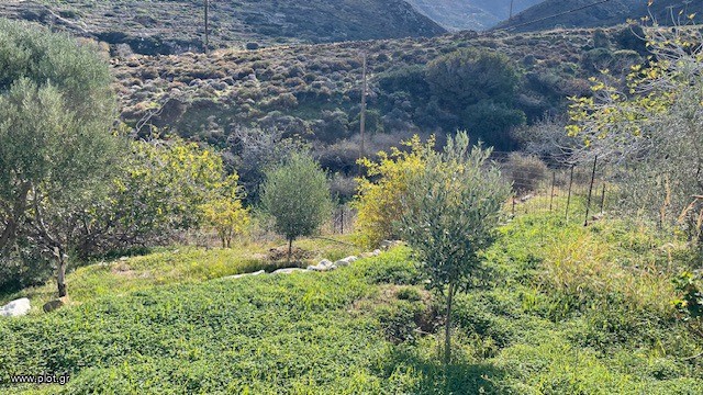 Οικόπεδο 224 τ.μ. πρός πώληση, Κυκλάδες, Νάξος - Δρυμαλία
